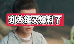 刘大锤爆料真假对比视频