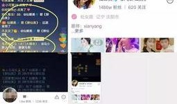 娜美最新八卦爆料,揭秘明星私生活背后的惊人真相！