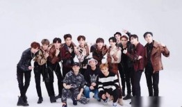 大飞爆料王爸视频全集,王爸视频全集深度解析