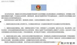 景宁新闻爆料事件最新,最新进展与深度解析