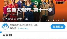 英国华人爆料视频,引发社会热议