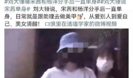 刘大锤最新爆料00后,00后新势力崛起，年轻一代引领潮流