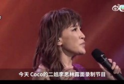 李玟二姐爆料大事件视频,大事件视频背后的惊人真相