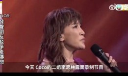 李玟二姐爆料大事件视频,大事件视频背后的惊人真相