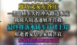 文安网友爆料视频最新,现场直击事件真相