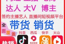 爆料人带货视频大全最新,爆款视频背后的秘密解析