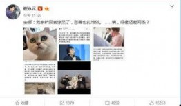 娱乐圈爆料人的微博,明星幕后故事大曝光