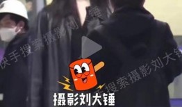 刘大锤爆料真假对比视频
