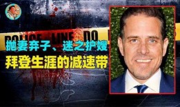 坑爹爆料视频,背后真相令人震惊