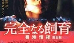 香港禁室培欲在线观看,一场禁忌之恋的在线揭秘之旅