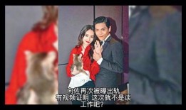 向佐出轨爆料者视频播放,真相与争议