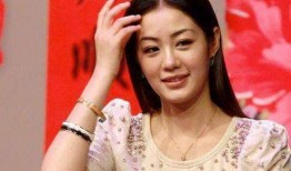 天涯爆料毕畅视频大全集,毕畅视频大全集，揭秘明星幕后生活