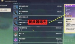 最新原神武器爆料在哪看,揭秘神秘新武器登场