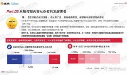 外国人报道衡水视频爆料,外国人视角下的中国教育现状深度解析