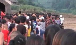 石家庄爆料猴子进村视频,村民拍下神奇一幕